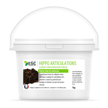 Hippo Articulations ESC Laboratoire Hippo Articulations ESC Laboratoire