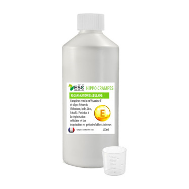 Hippocrampes ESC Laboratoire Hippocrampes ESC Laboratoire