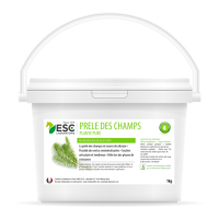 Prêle des champs ESC...