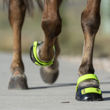 Hipposandale Scoot Boots Hipposandale Scoot Boots