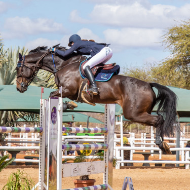 Hipposandale Scoot Boots Hipposandale Scoot Boots
