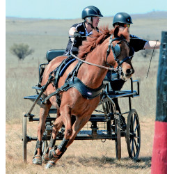 Scoot Boots attelage Scoot Boots attelage