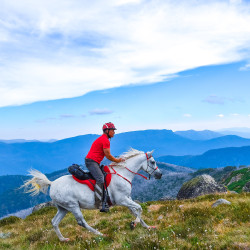 Hipposandale Scoot Boots Hipposandale Scoot Boots