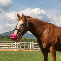 Panier Greenguard Noir Panier Greenguard Noir