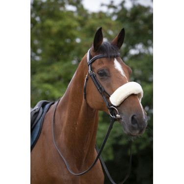 Fourreau de muserolle Equithème Teddy Fourreau de muserolle Equithème Teddy