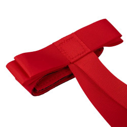 Ruban rouge avec velcro Kentucky