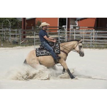 Selle Westride by Franck Perret Arvada Selle Westride by Franck Perret Arvada