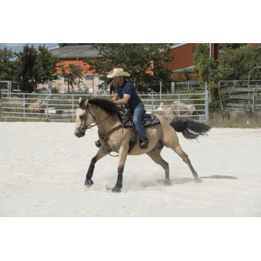 Selle Westride by Franck Perret Arvada Selle Westride by Franck Perret Arvada
