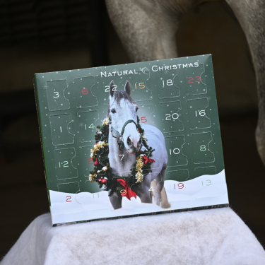 Calendrier de l'avent Natural'Christmas Gourmet 2026 Natural'Innov Calendrier de l'avent Natural'Christmas Gourmet 2026 Natural'Innov