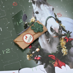 Calendrier de l'avent Natural'Christmas Gourmet 2026 Natural'Innov Calendrier de l'avent Natural'Christmas Gourmet 2026 Natural'Innov