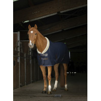 Chemise mesh Equithème Teddy Bleu marine
