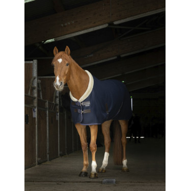 Chemise mesh Equithème Teddy Chemise mesh Equithème Teddy