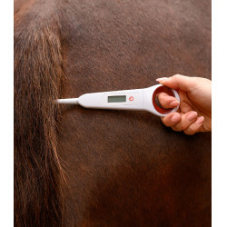 Thermomètre numérique pour chevaux Waldhausen Blanc