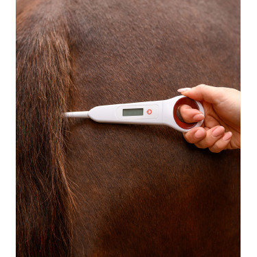 Thermomètre numérique pour chevaux Waldhausen Blanc
