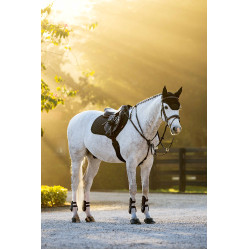 Tapis de selle LeMieux Brilliance Close Contact Square Noir Tapis de selle LeMieux Brilliance Close Contact Square Noir