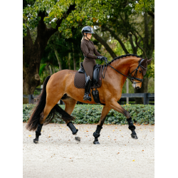 Tapis de dressage LeMieux Brilliance Square Espresso Marron