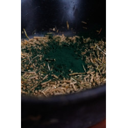 Spiruline Natural'Innov