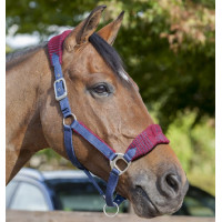 Licol et longe Lemieux Vogue Bleu marine / bleu roi Licol et longe Lemieux Vogue Bleu marine / bleu roi