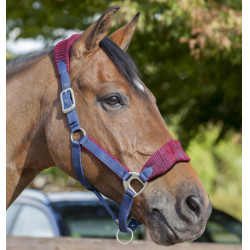 Licol et longe Lemieux Vogue Bordeaux / Bleu marine