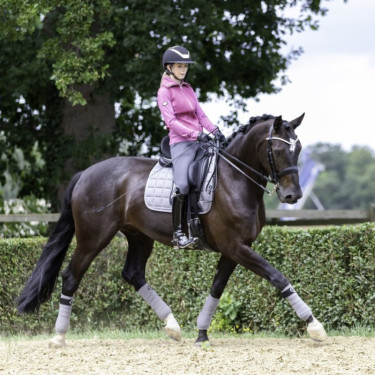 Tapis dressage LeMieux Carbon Mesh Square Tapis dressage LeMieux Carbon Mesh Square