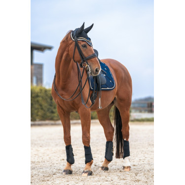 Bonnet cheval Night Collection Back On Track Bonnet cheval Night Collection Back On Track