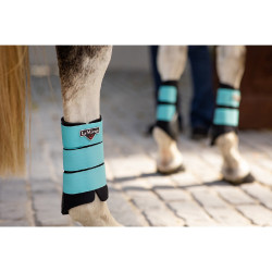 Guêtres LeMieux Grafter Azure Bleu