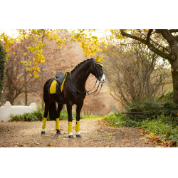 Tapis LeMieux Suede Dressage Square Dijon Jaune Tapis LeMieux Suede Dressage Square Dijon Jaune