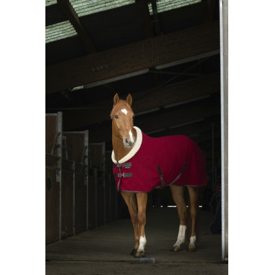 Chemise polaire Equi-Theme Teddy Bordeaux / écru