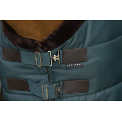 Couverture d'écurie Equi-Theme Teddy Vert / marron Couverture d'écurie Equi-Theme Teddy Vert / marron