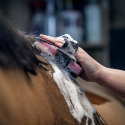 Eponge de douche pour équitation Hippo LeMieux
