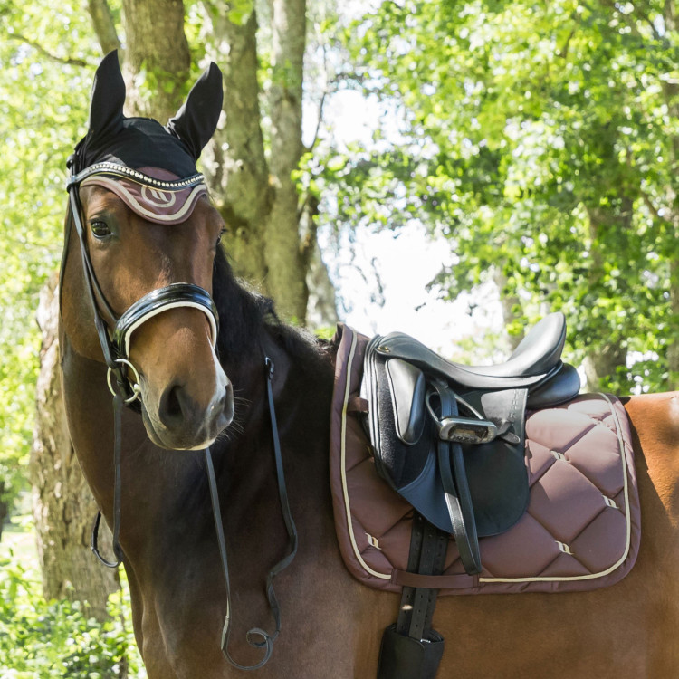 Tapis de Selle Dressage Night Collection Back On Track Tapis de Selle Dressage Night Collection Back On Track