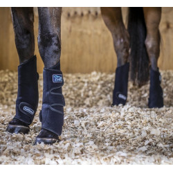 Guêtres refroidissantes LeMieux Chill (Paire) Noir Guêtres refroidissantes LeMieux Chill (Paire) Noir
