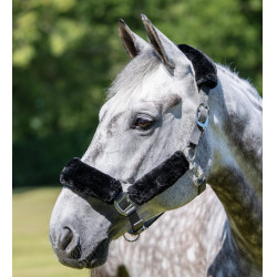 Licol LeMieux Confort Gris / noir Licol LeMieux Confort Gris / noir