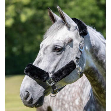 Licol LeMieux Confort Gris / noir Licol LeMieux Confort Gris / noir