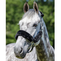 Licol LeMieux Confort Noir / naturel Licol LeMieux Confort Noir / naturel