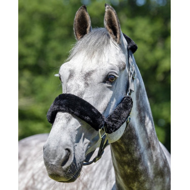 Licol LeMieux Confort Gris / noir Licol LeMieux Confort Gris / noir