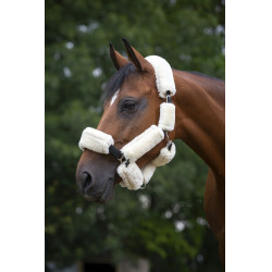 Set pour licol Equithème Teddy Set pour licol Equithème Teddy