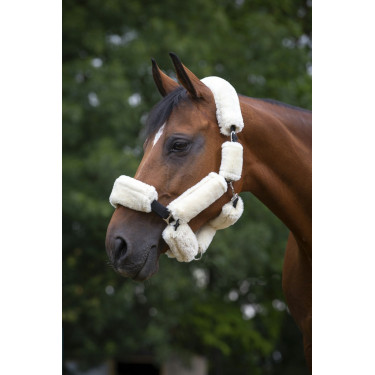 Set pour licol Equithème Teddy Set pour licol Equithème Teddy