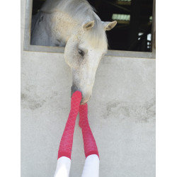 Chaussettes Equithème Résille Chaussettes Equithème Résille