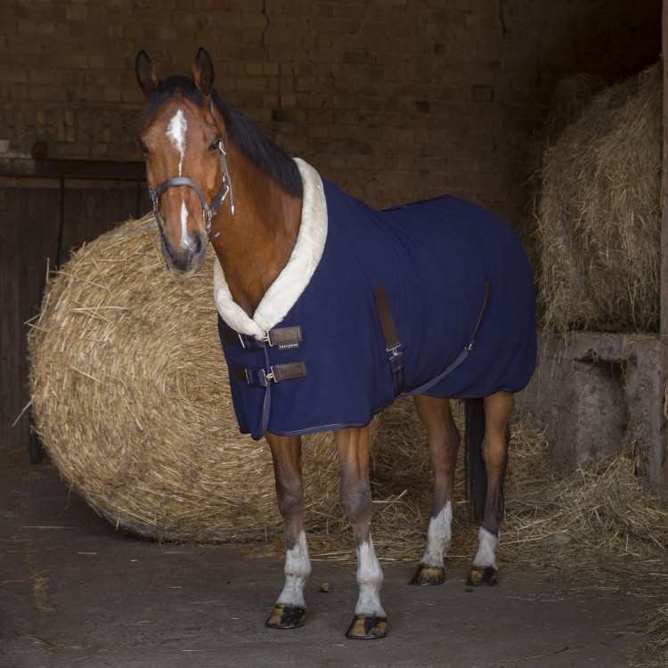 Chemise polaire Equithème Teddy