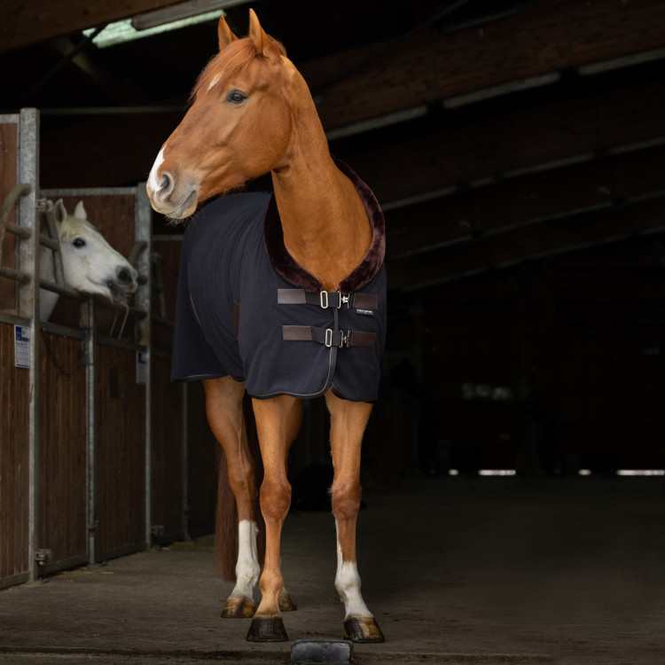 Chemise polaire Equithème Teddy