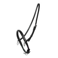 PETIT LICOL AVEC ANNEAU DE MARTINGALE PETIT LICOL AVEC ANNEAU DE MARTINGALE