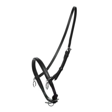 PETIT LICOL AVEC ANNEAU DE MARTINGALE PETIT LICOL AVEC ANNEAU DE MARTINGALE
