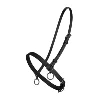 PETIT LICOL NYLON AVEC ANNEAU Noir PETIT LICOL NYLON AVEC ANNEAU Noir