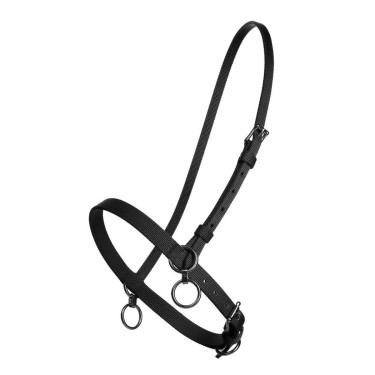 PETIT LICOL NYLON AVEC ANNEAU PETIT LICOL NYLON AVEC ANNEAU