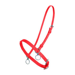 PETIT LICOL NYLON AVEC ANNEAU Rouge