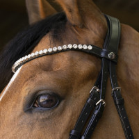 Bridon Norton Pro Bella Noir Bridon Norton Pro Bella Noir