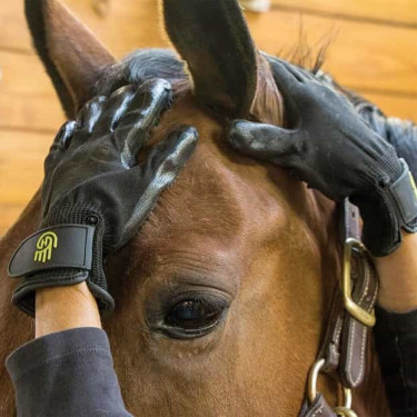 Gant de pansage LeMieux Hands On Gant de pansage LeMieux Hands On