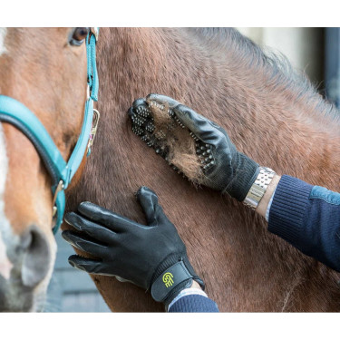 Gant de pansage LeMieux Hands On Gant de pansage LeMieux Hands On