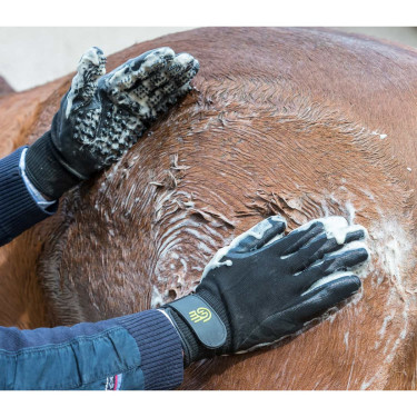 Gant de pansage LeMieux Hands On Gant de pansage LeMieux Hands On